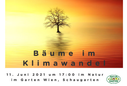 2021 Nig Bäume im Klimawandel440x300.jpg