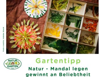 Natur- Mandala legen