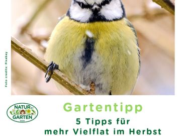 5 Tipps für mehr Vielfalt im Herbst