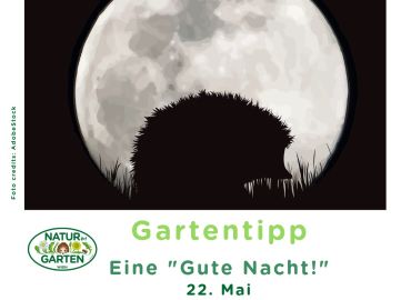 Artenvielfalt- gute nacht