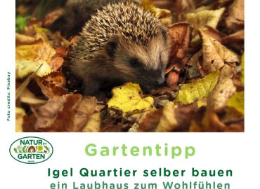 Igel Quartier