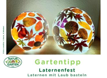 Laterne aus buntem Laub